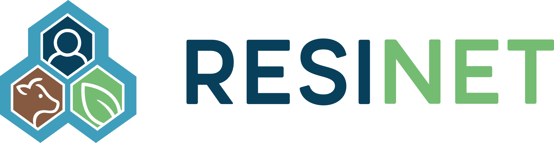 Logo RESINET